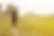 From High-Functioning to Healing: A Client Case Study