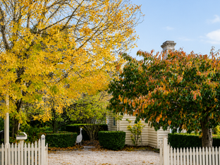 Reset Recovery residential rehab clinic in Victoria