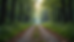Eye-level view of a solitary path splitting into two directions in a quiet forest